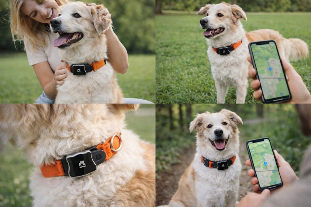 Never Lose Your Pet Again – Smart GPS Location Tracker