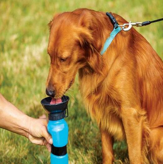 Portable Dog Water Bottle